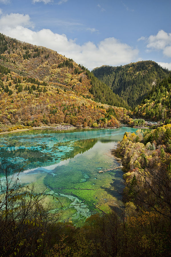 jiuzhaigou valley national park: Giant Panda Mega Reserve
