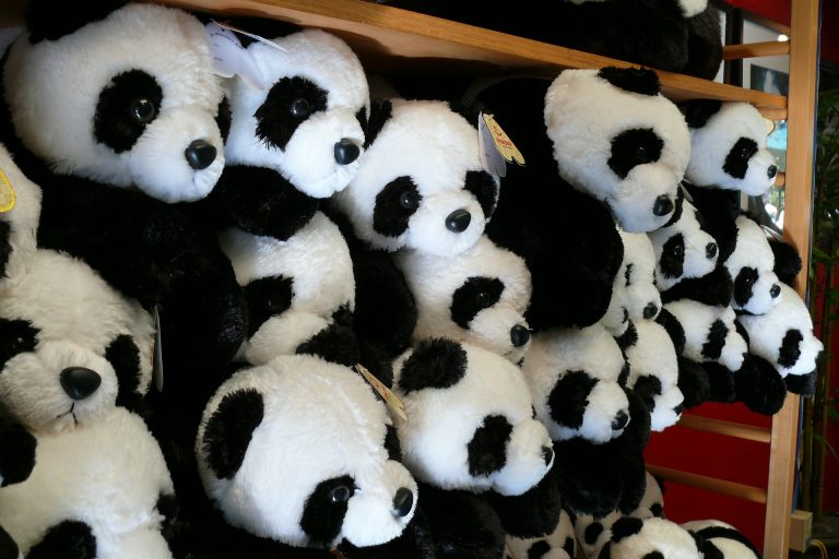 Stuffed Pandas At The San Diego Zoo.