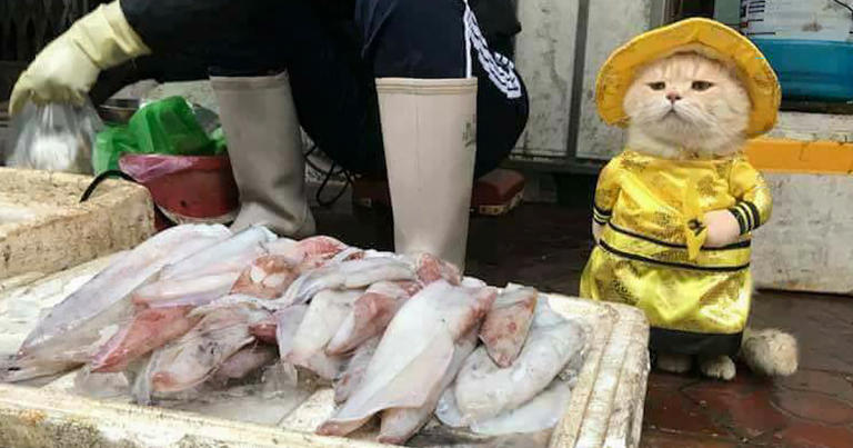 Meet The Cutest Fish Vendor In Vietnam Who Is Taking The Internet By Storm With His Adorable Pics